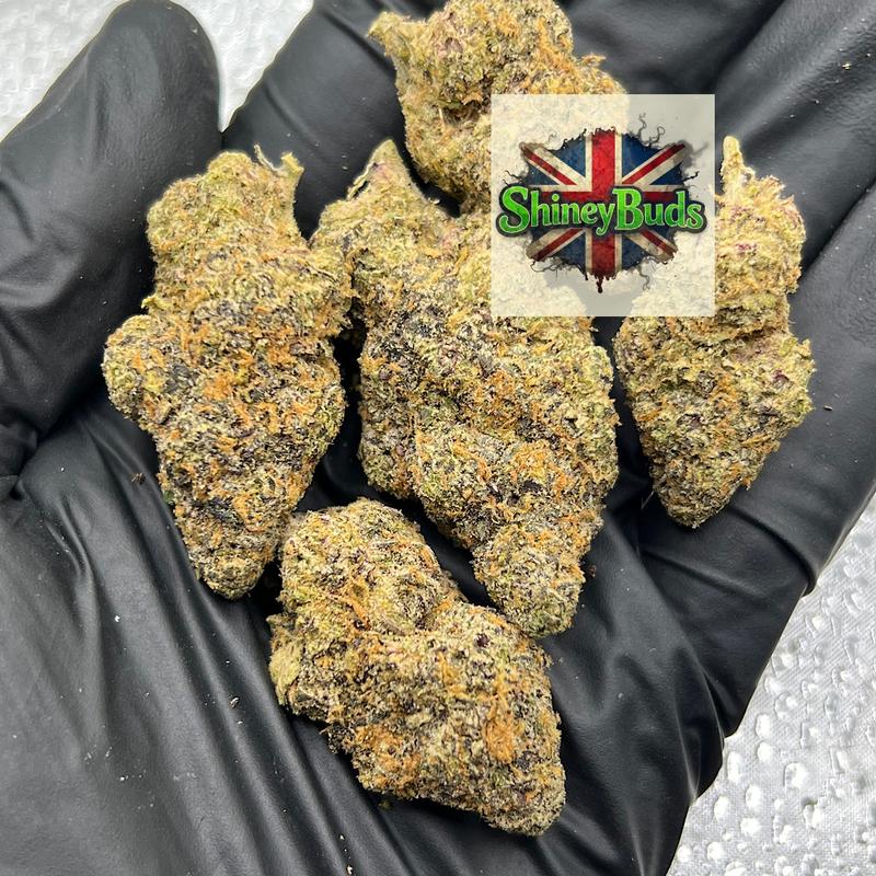 🇺🇸 Dark Matter