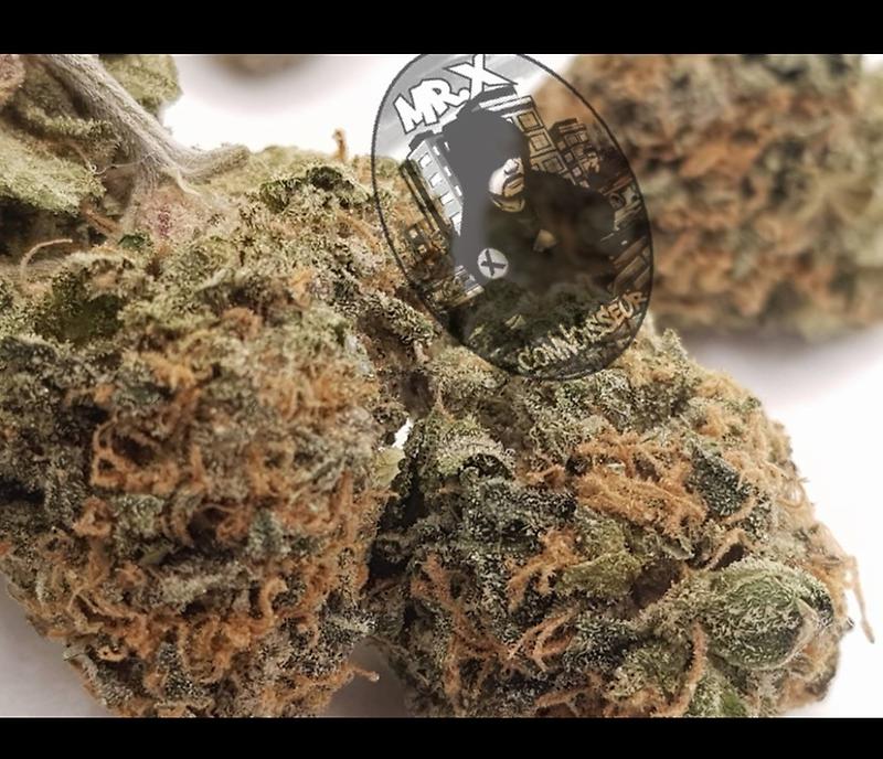 ***BAKLAVA***^^^PREMIUM^^^