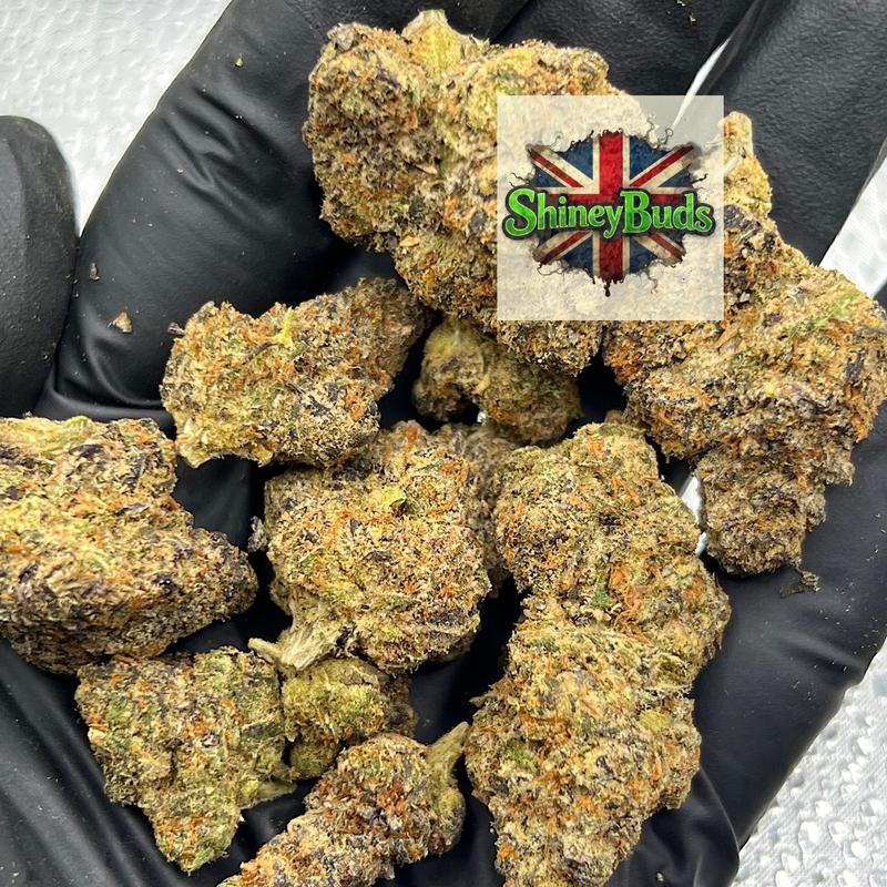 🇺🇸 Lemon Upz
