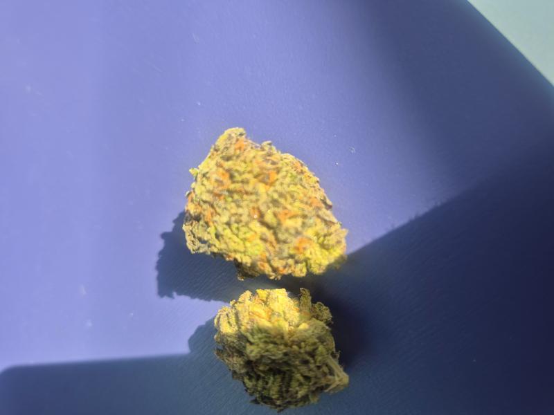 Grand Daddy Purple. Cali aaa