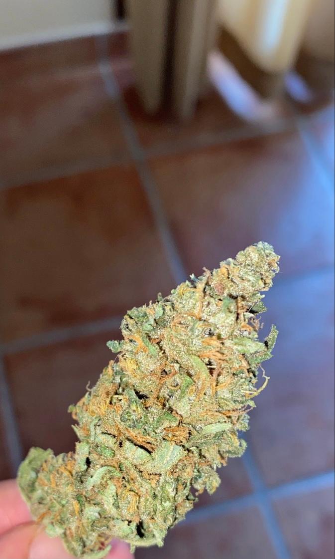 Amnesia Haze