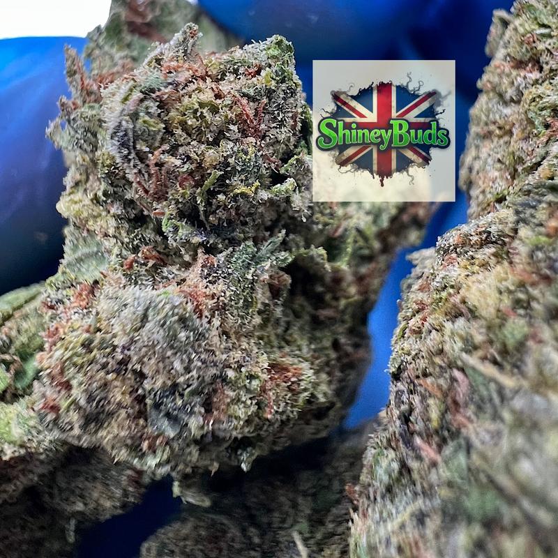 🇺🇸 Black Cherry Soda (Mids)