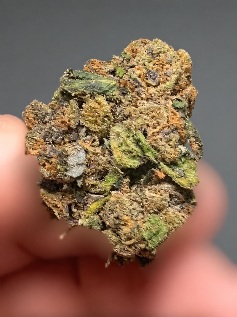 UK BUD'S