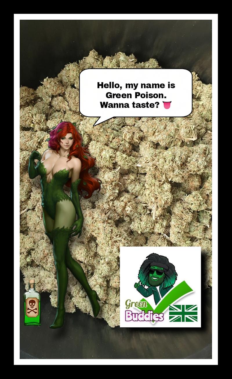 A+ Green Poison - Buddies ✓