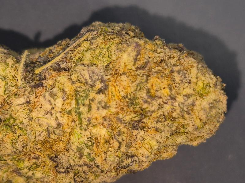 Super Queen- top tier flower
