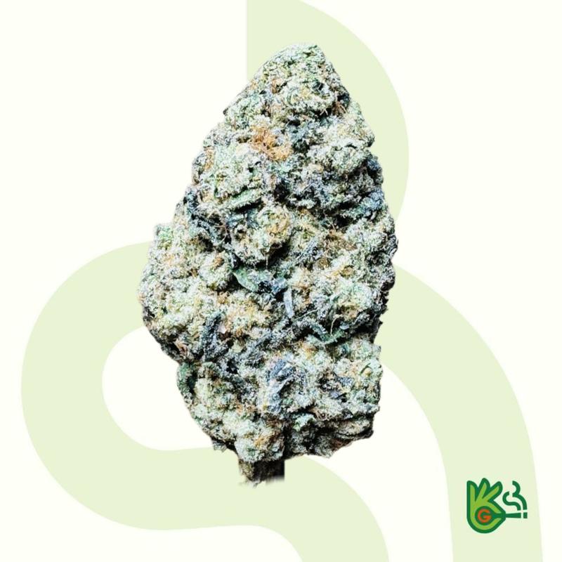 Animal Mints *Free Shipping*