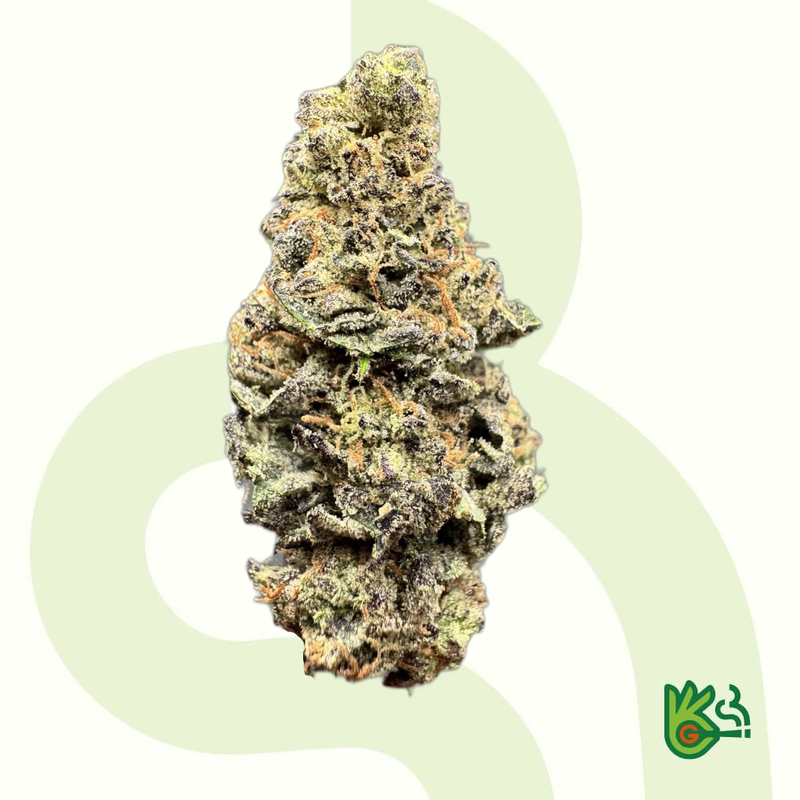 Gelato X Ice Cream Cake - UK Exclusive