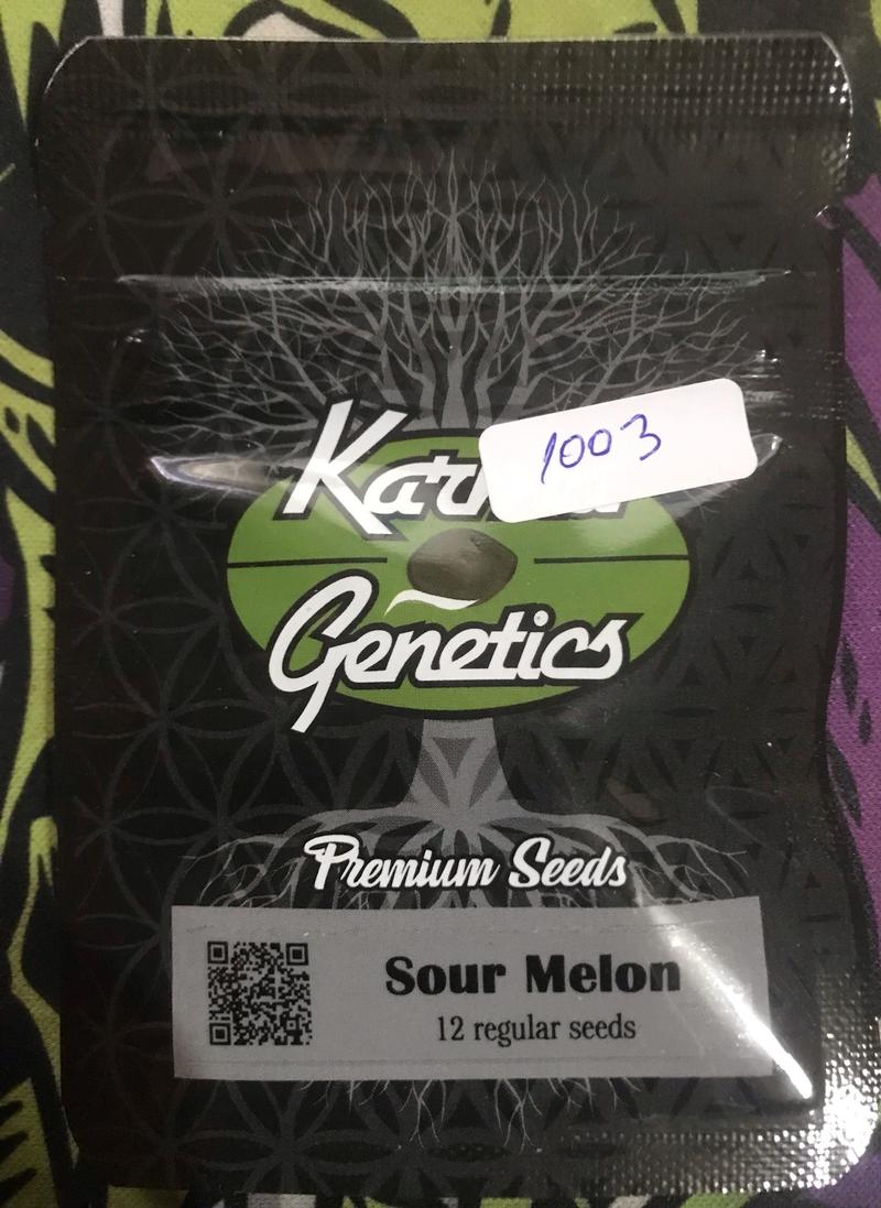 Karma Genetics