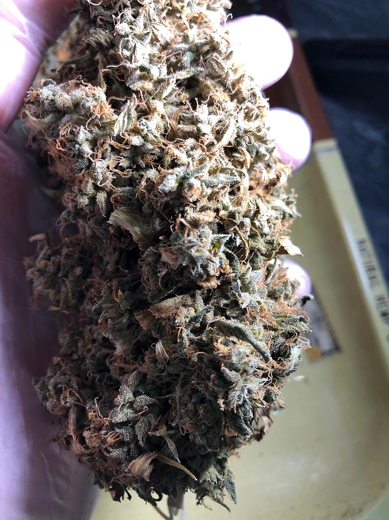 Wedding Cake (Cherry Pie x GSC x OG Kush)