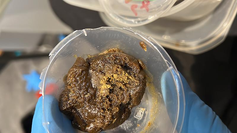 Chocolate Chips Hash