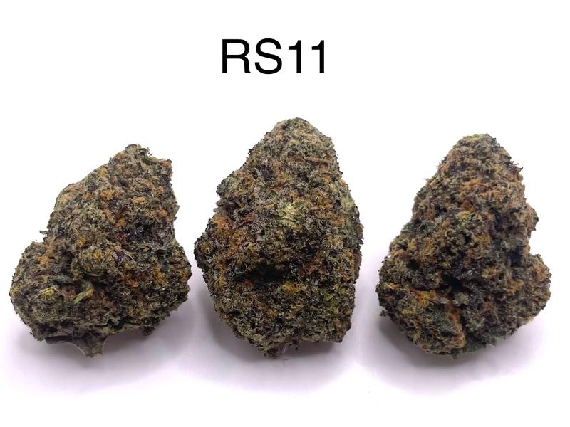 RS11