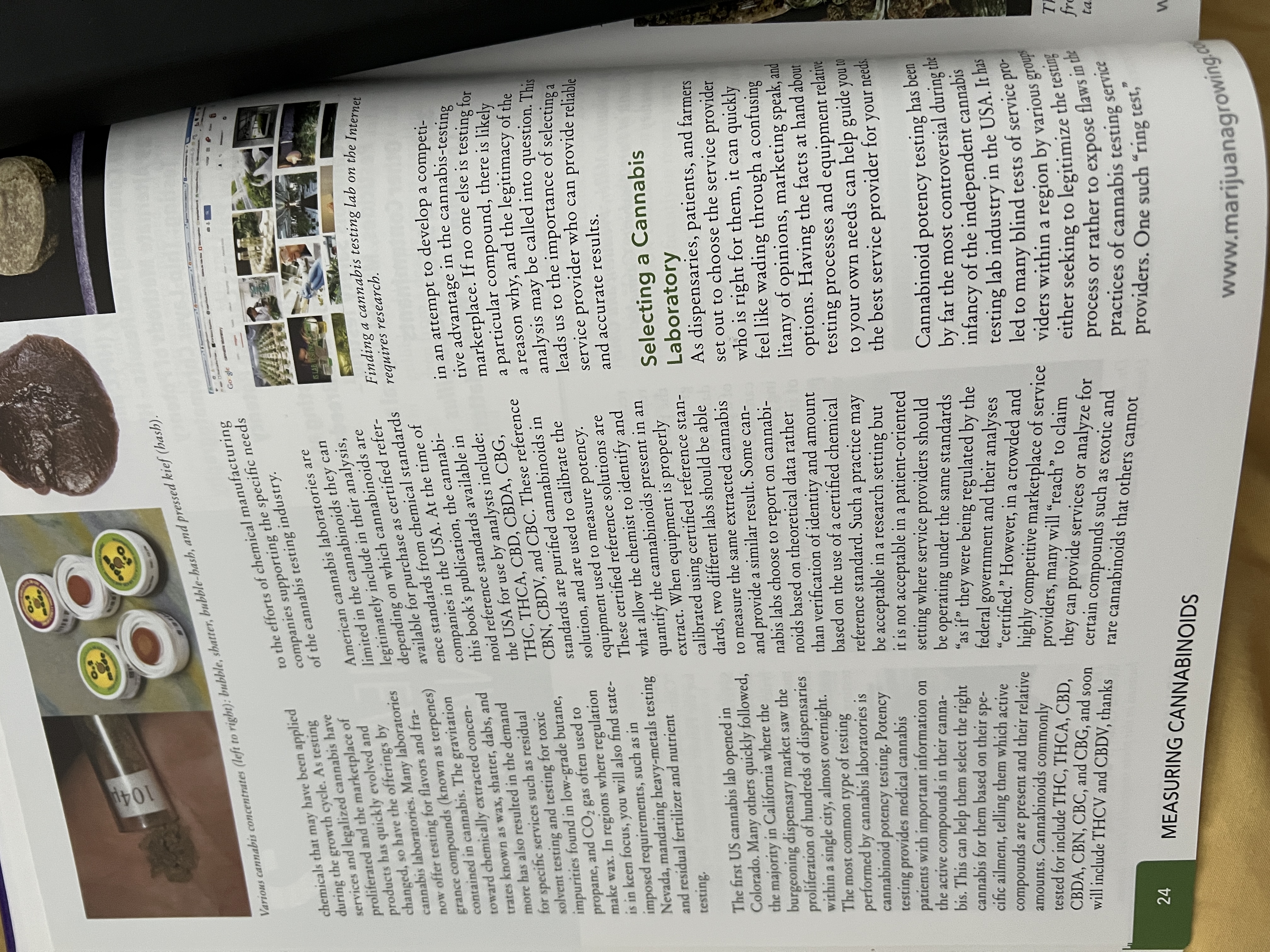 The Cannabis Encyclopaedia by J.C