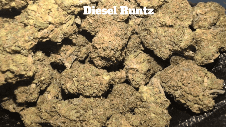 Cali Mids - Loose Import 🇺🇸