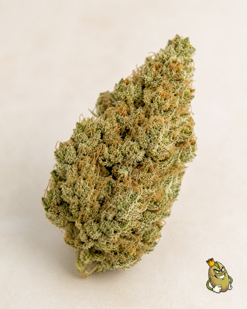 KING GELATO - TOPSHELF £140 AN OUNCE