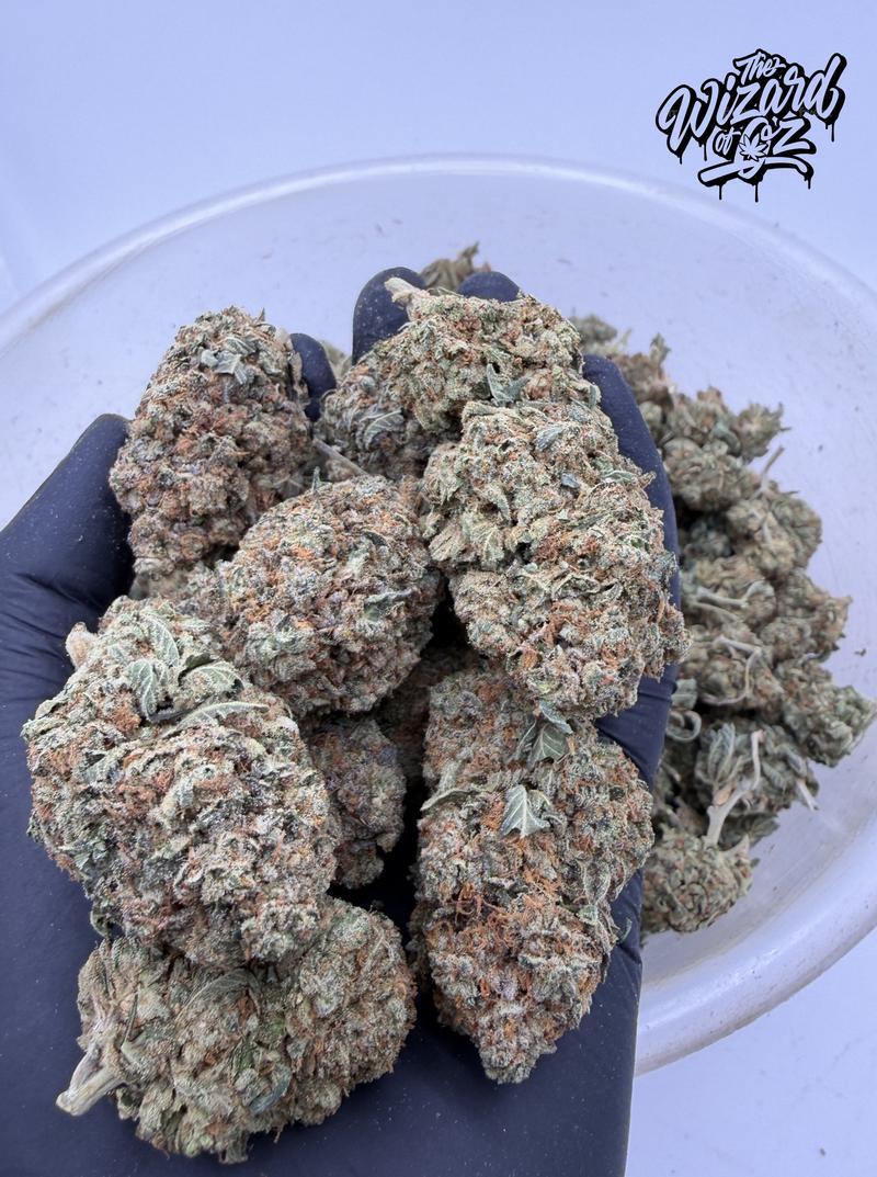 Star Dawg ⛽ 🌟