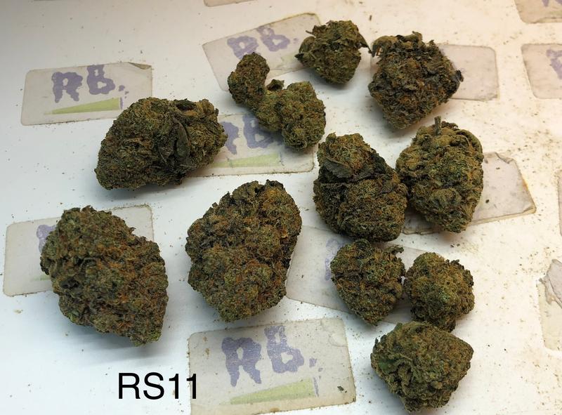 UK Exotics