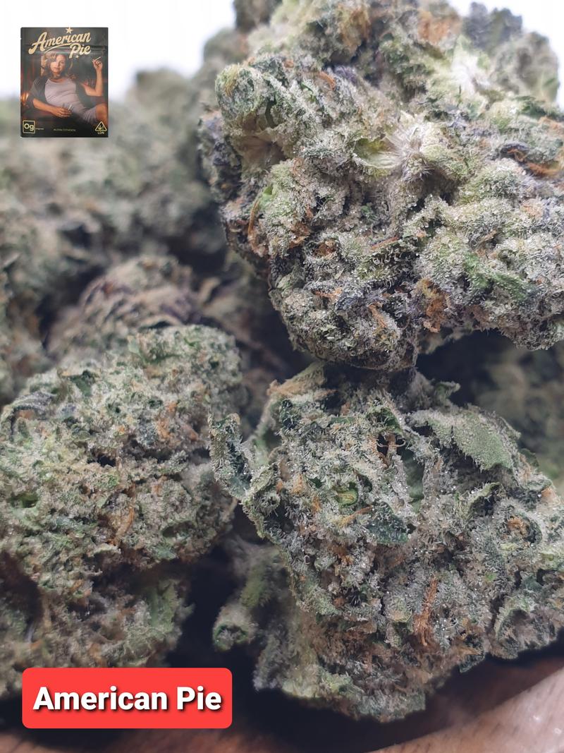 [Exclusive] Top Shelf UK