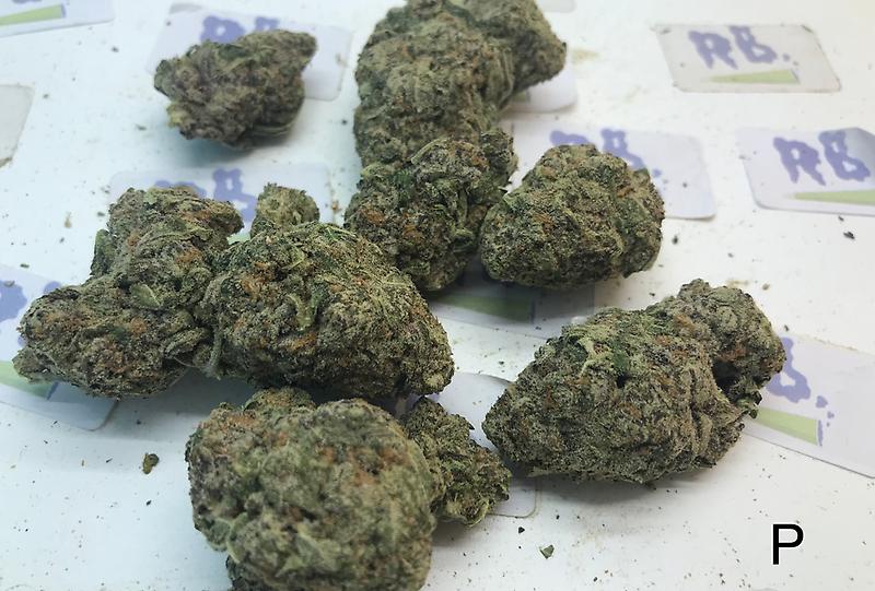 PARIS OG MID SHELF CALI