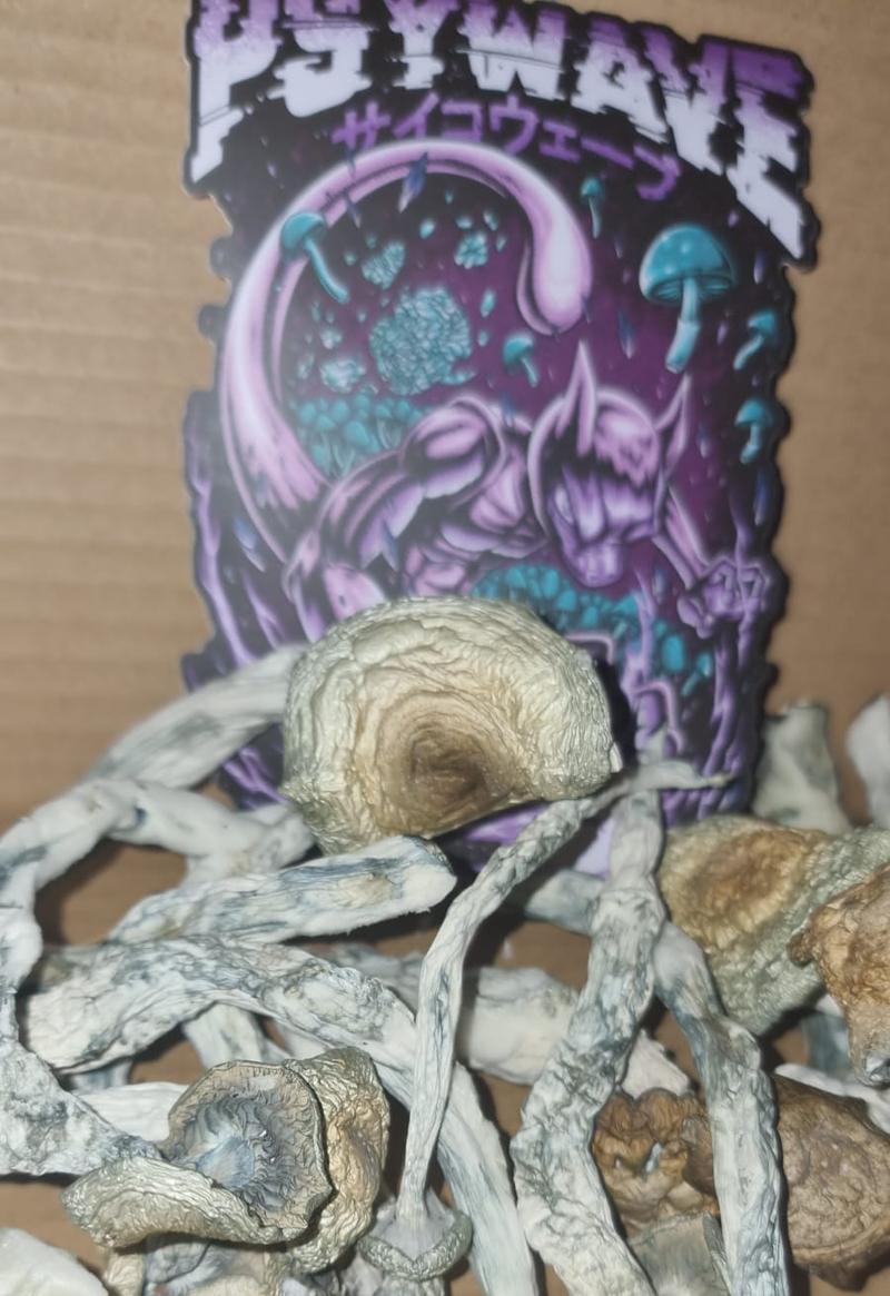 Hell Hound Mushrooms