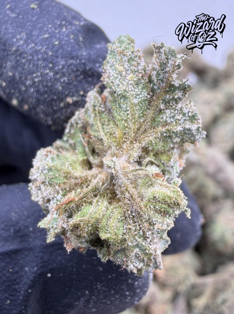 Super Lemon Haze