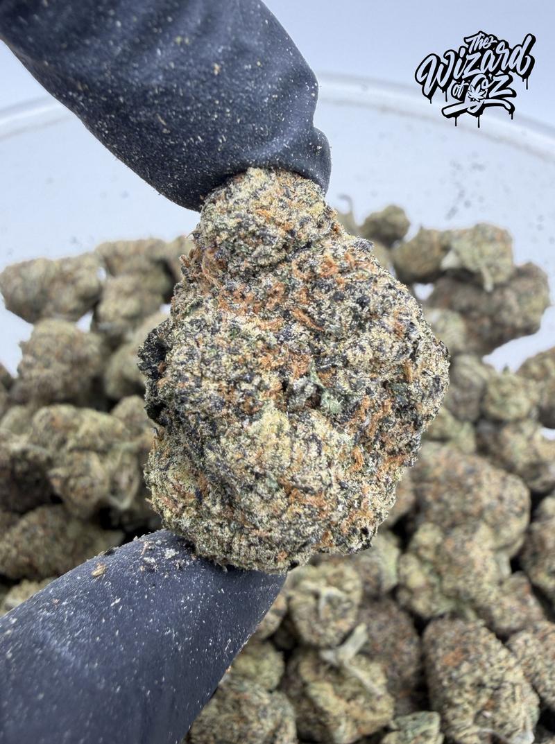 Teds Budz Strain: King Neptune