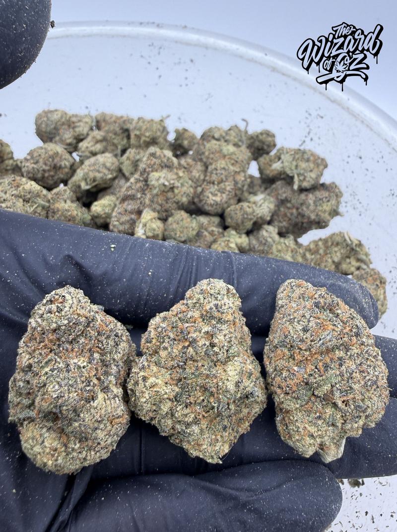 Teds Budz Strain: King Neptune