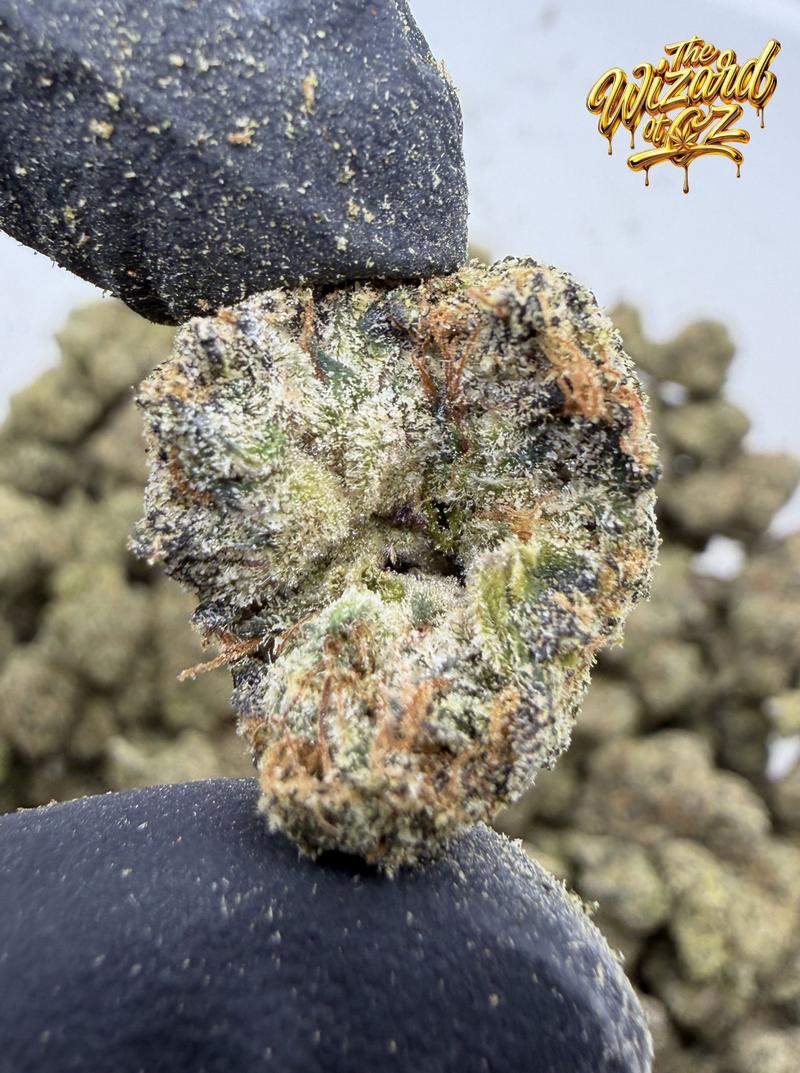 Jungle Boys Strain: Applez #11