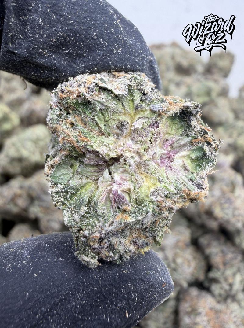 El Chapo OG