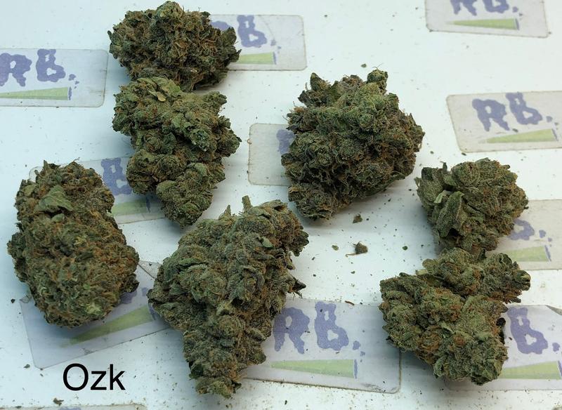 OZ Kush x Coffin Candy