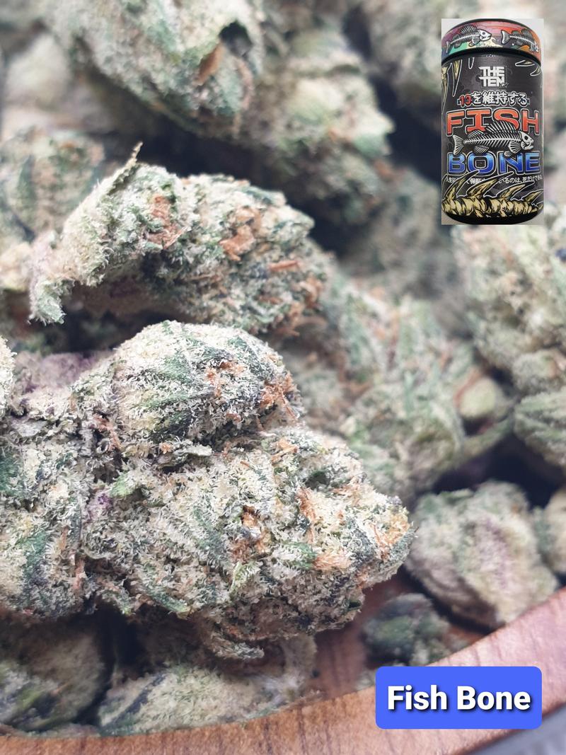 [Exclusive] Top Shelf Cali
