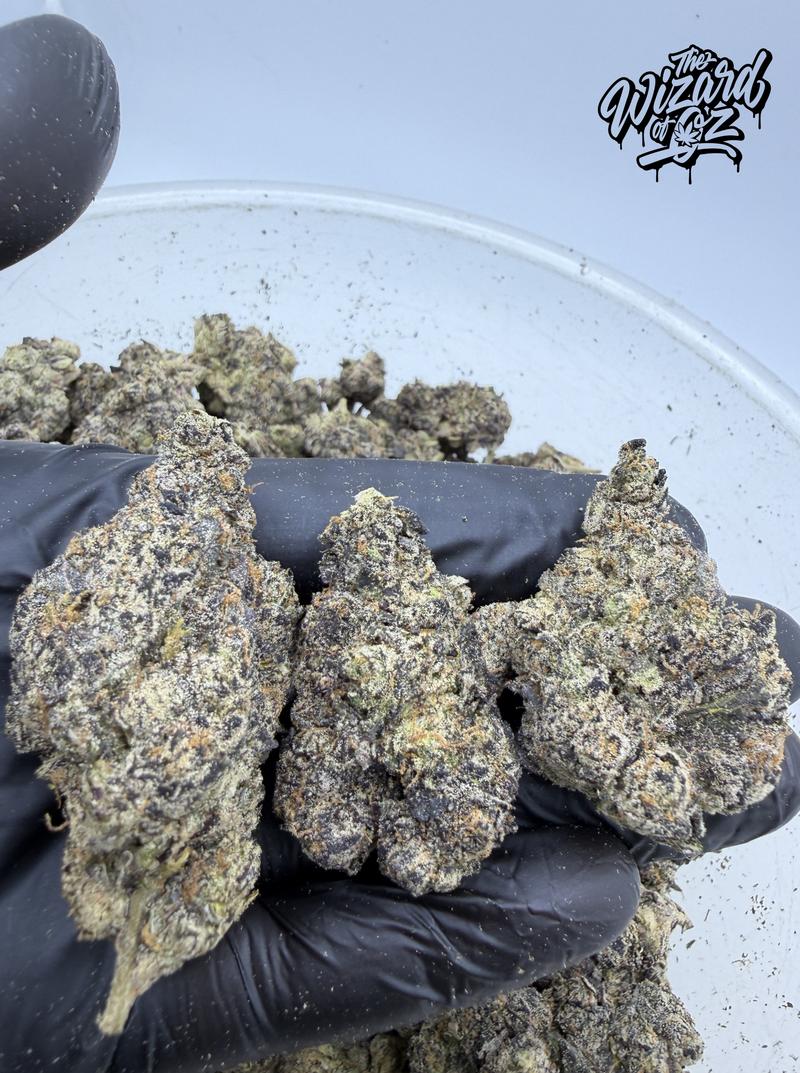 Wizard Trees Strain: Zangbanger