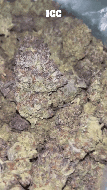 Cali Mids - Loose Import 🇺🇸