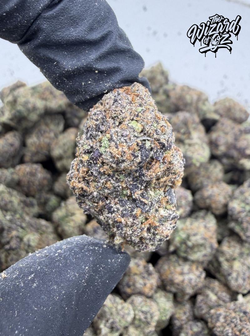 Dope Boyz Strain: Rainbow 41