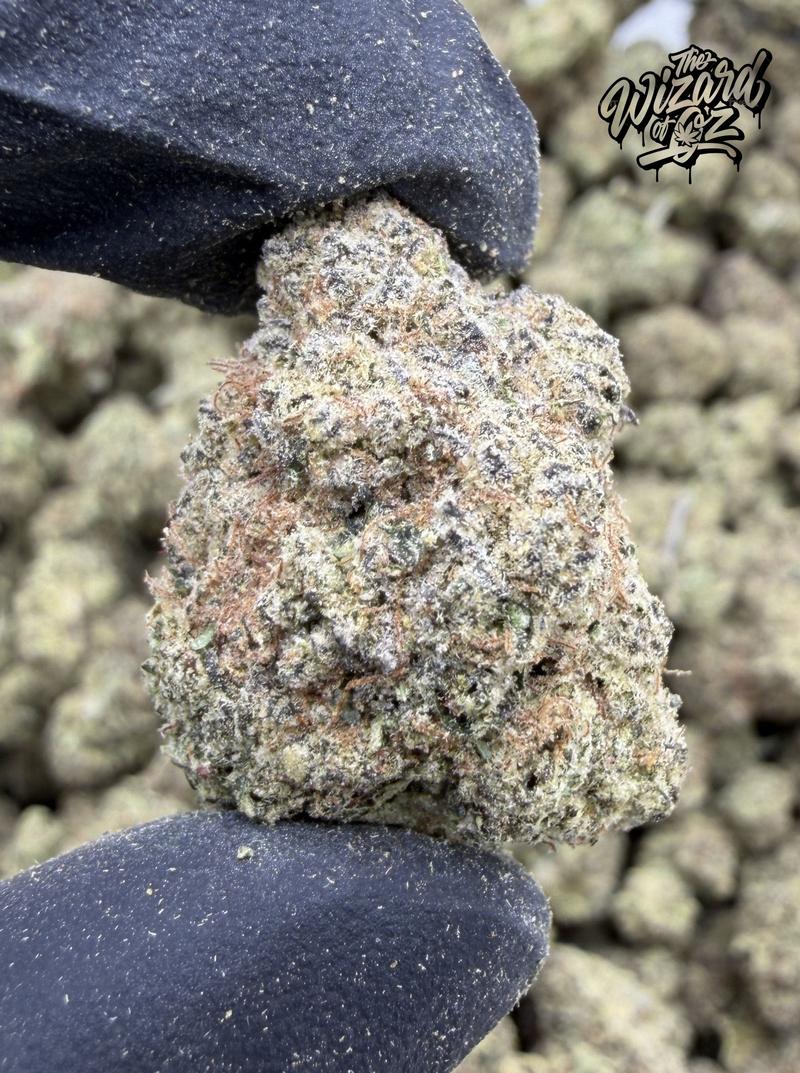 Black Cherry Gushers