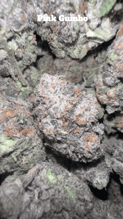 Top Shelf Exotics - Imported Loose Flower
