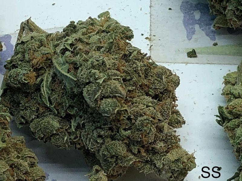 SUPER SILVER HAZE (DUTCH)