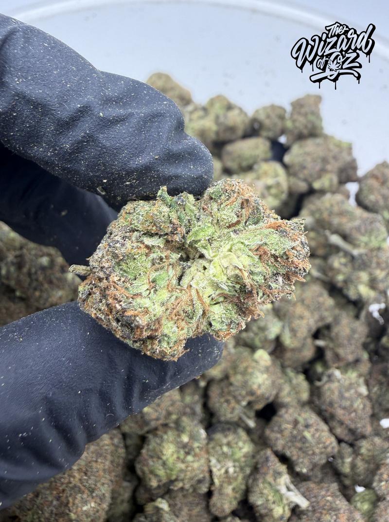 12 Alarm Fire Strain: Zrilla