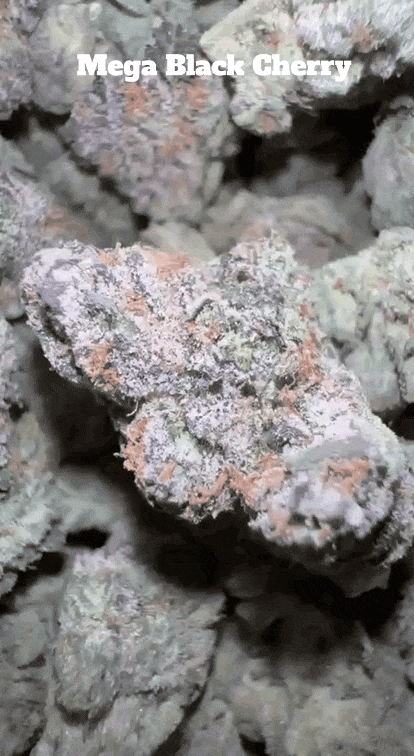 Top Shelf Exotics - Imported Loose Flower