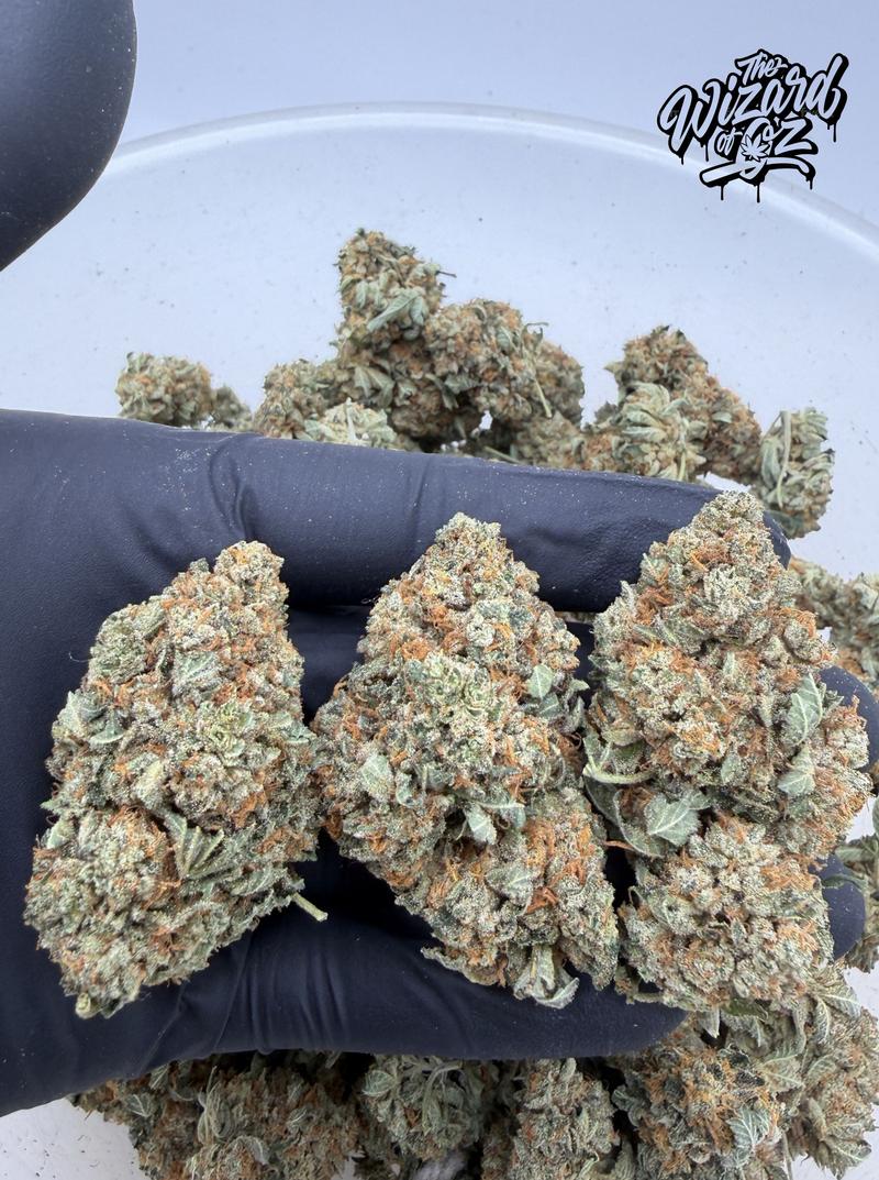 Star Dawg ⛽ 🌟