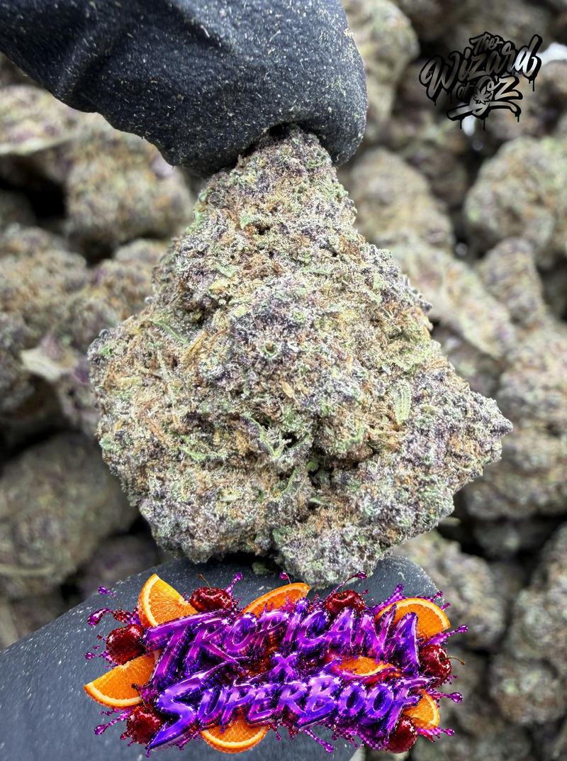 Tropicana x SuperBoof