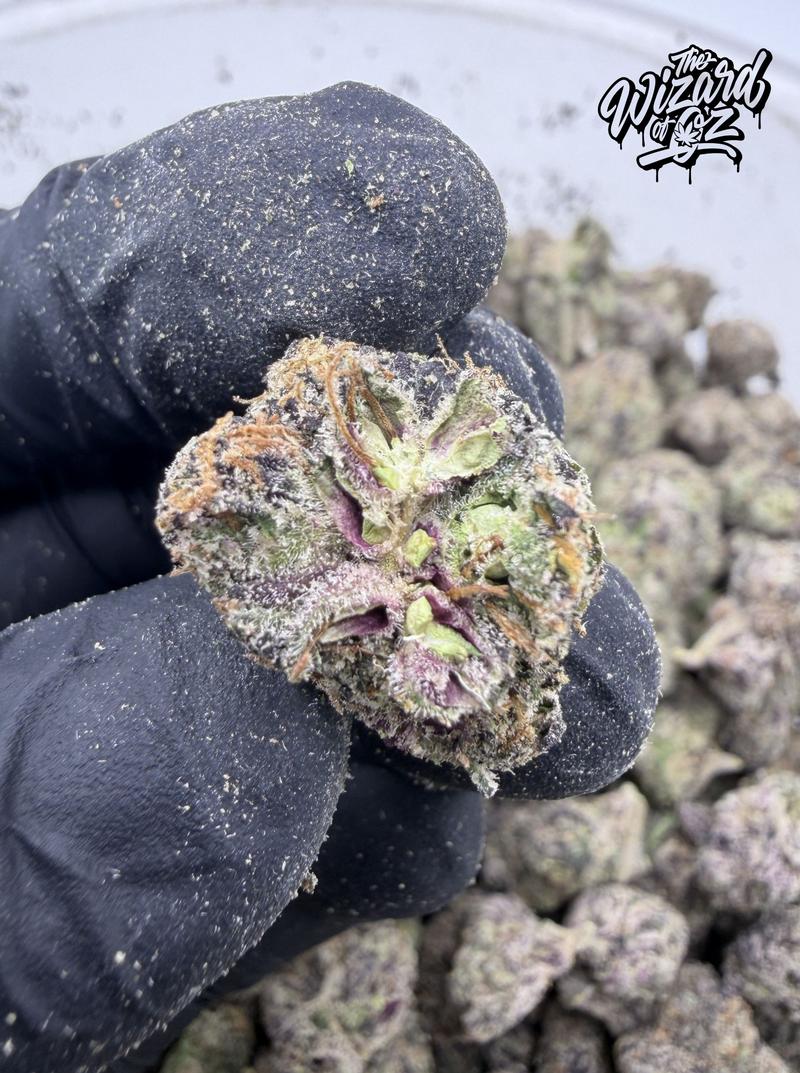 Jungle Boys Strain: Zamarelo