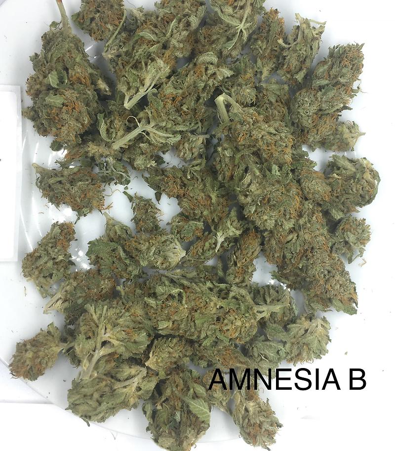 AMNEISA HAZE GRADE B