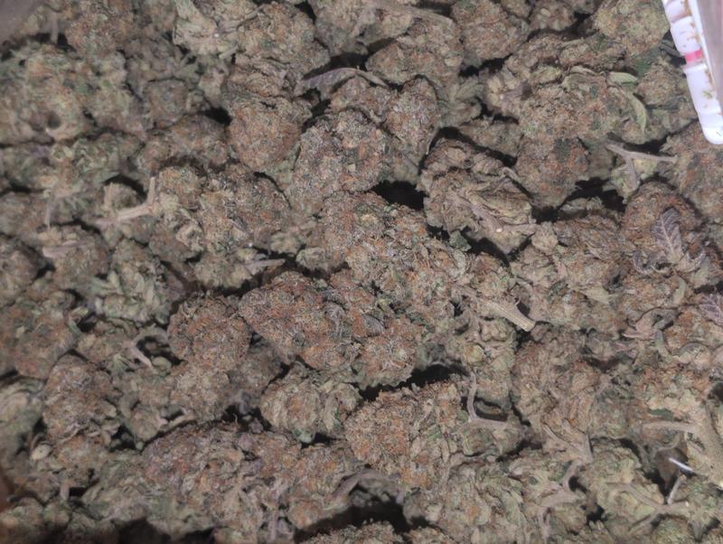UK Cultivated 🇬🇧 Small Batch Flavours