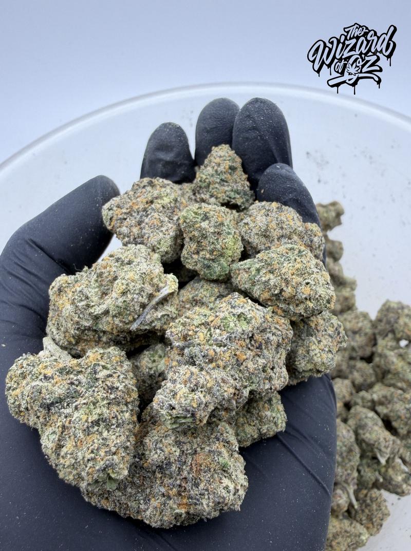 King's Kush