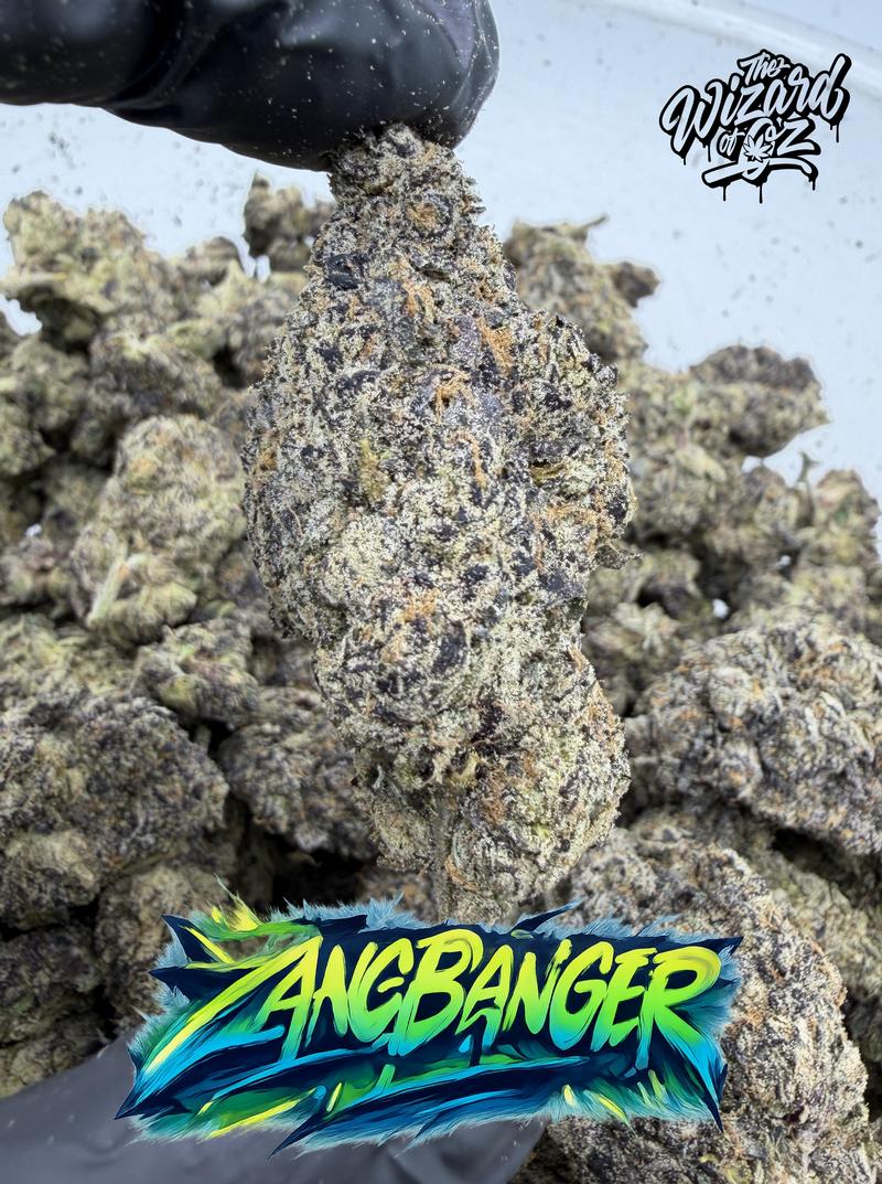 Wizard Trees Strain: Zangbanger
