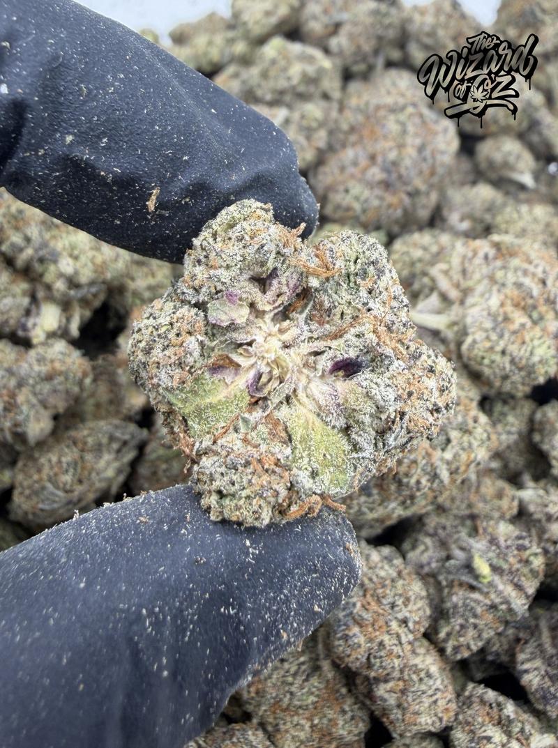 The TenCo Strain: Pink Pineapple