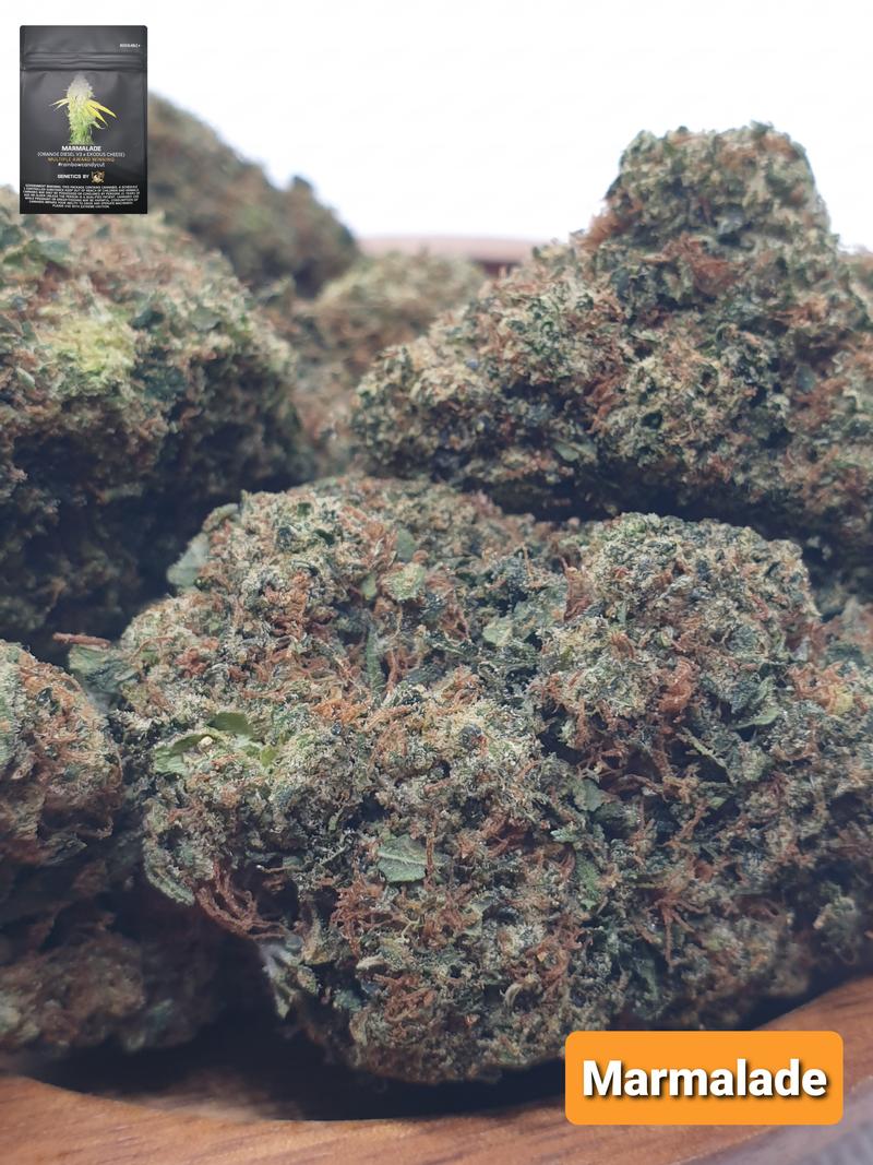 [Exclusive] Top Shelf UK