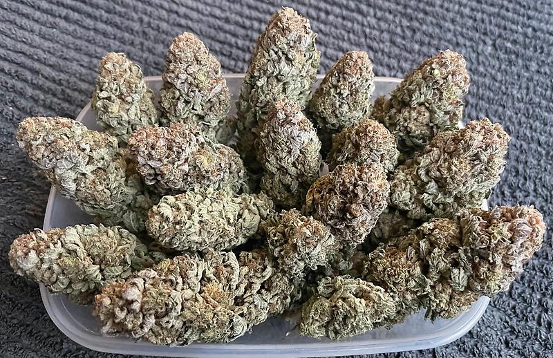 Wedding Pie UK Premium