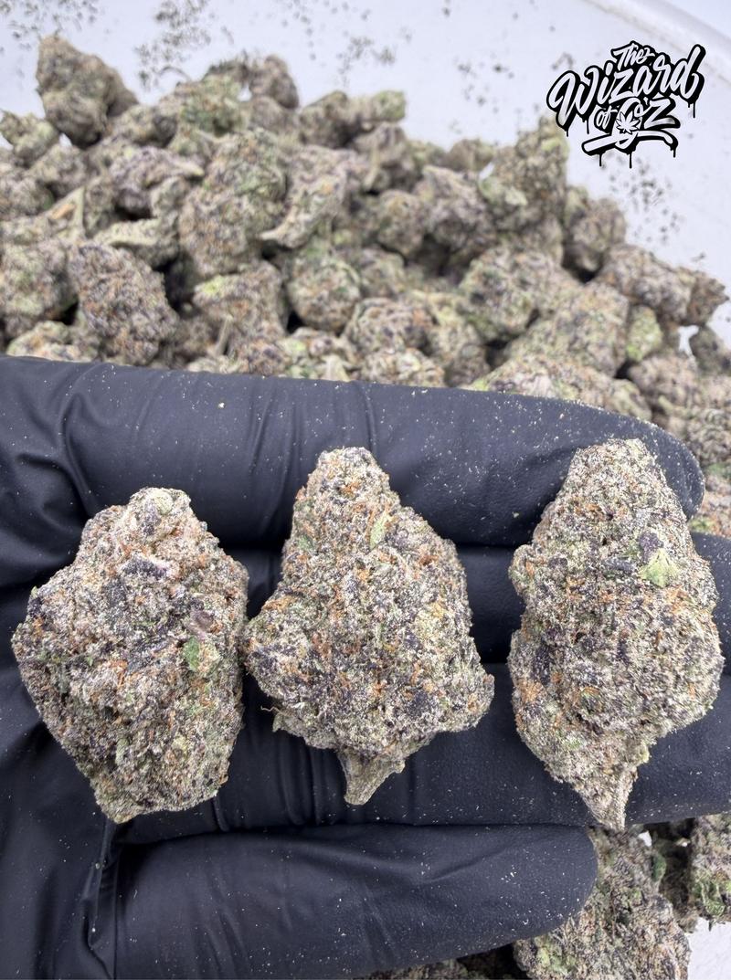 Jungle Boys Strain: Zamarelo