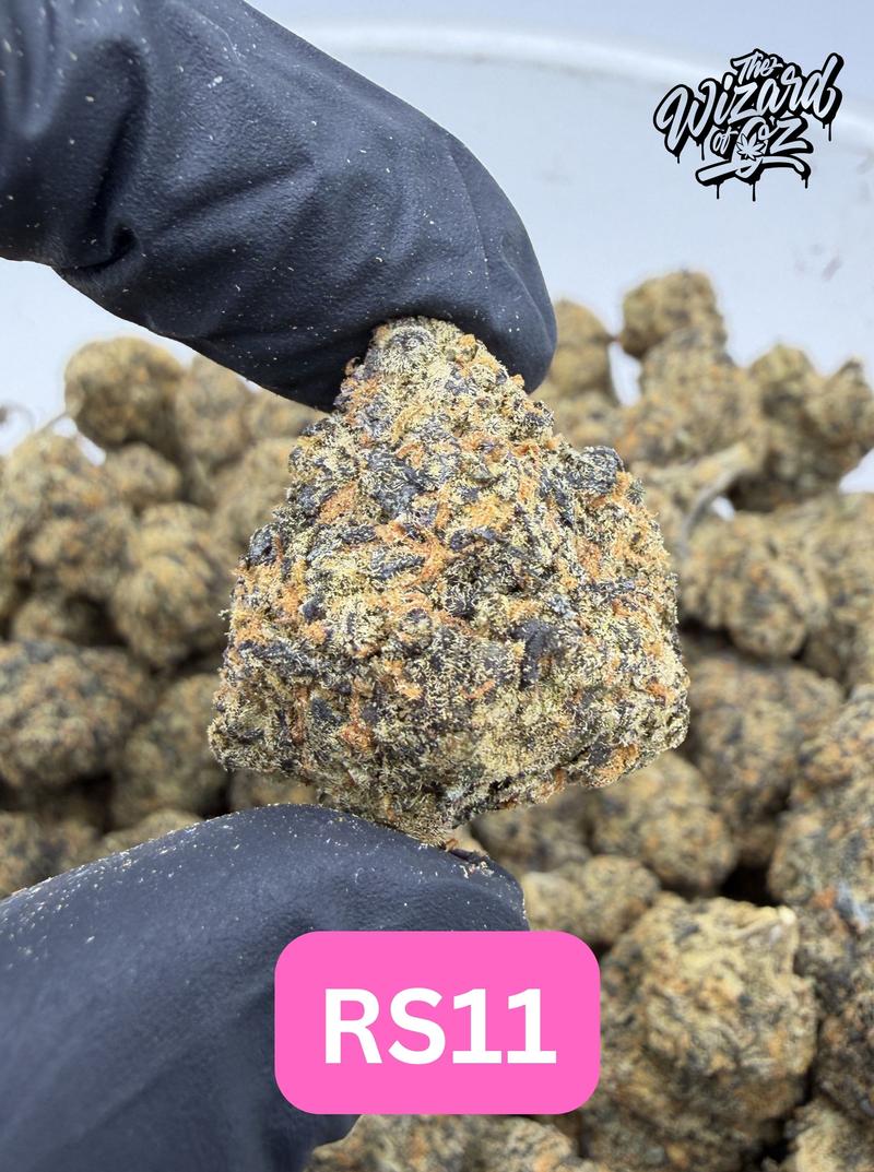 RS11🍬